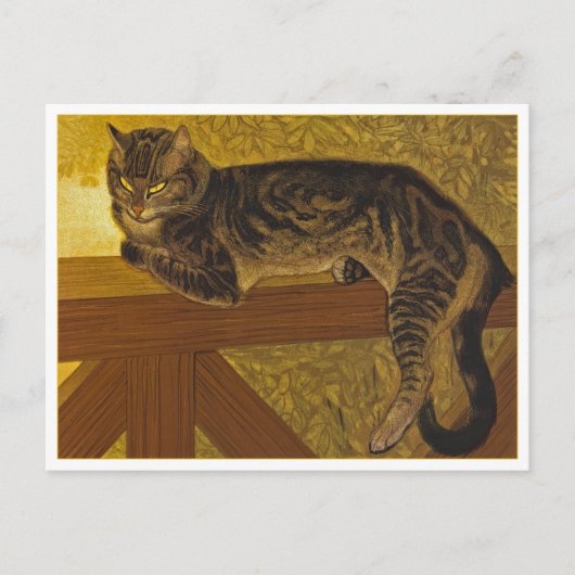 Kat op een Balustrade door Steinlen Briefkaart (Voorkant)