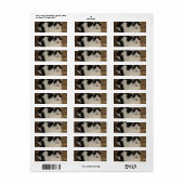Kat op een bank etiket (Full Sheet)