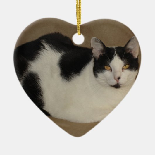 Kat op een bank keramisch ornament (Voorkant)