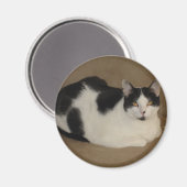 Kat op een bank magneet (Voorkant / Achterkant)