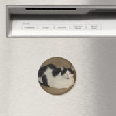 Kat op een bank magneet (Insitu (Vaatwasser))