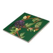 Kat op een bijkantoor tegeltje (Zijkant)