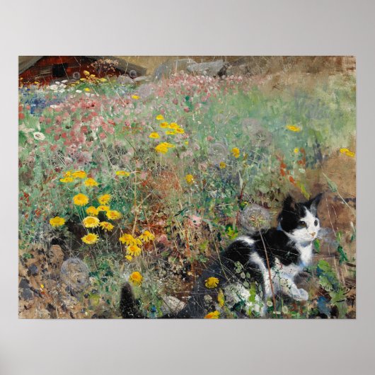 Kat op een bloem, Bruno Liljefors Poster (Voorkant)