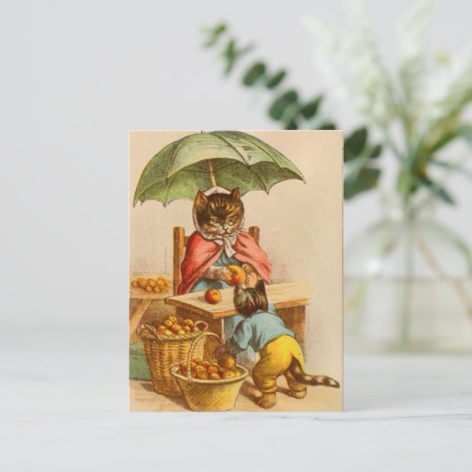 kat op een Briefkaart van de fruitstandaard (Staand voorkant)