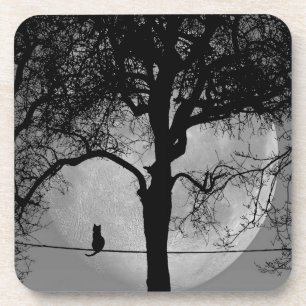 Kat op een draad Volle Maan Bier Onderzetter