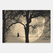 Kat op een draad Volle Maan Inpakpapier Vel (Voorkant 3)