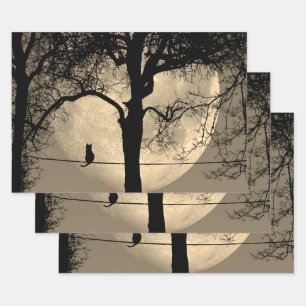 Kat op een draad Volle Maan Inpakpapier Vel