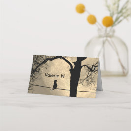 Kat op een draad Volle Maan Plaatskaartje