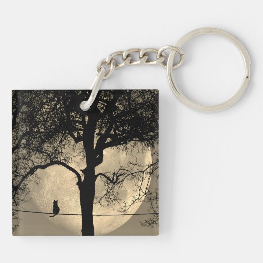 Kat op een draad Volle Maan Sleutelhanger (Achterkant)