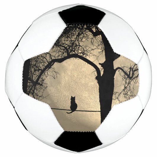 Kat op een Draad Volle Maan Voetbal (Voorkant)
