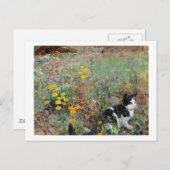 Kat op een Flowery Meadow, Bruno Liljefors Briefkaart (Voorkant / Achterkant)