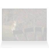 Kat op een hek (Binnen Horizontaal (Boven))