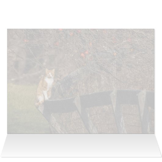 Kat op een hek (Binnen Horizontaal (Boven))