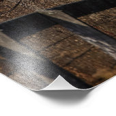 Kat op een hek foto afdruk (Hoek)