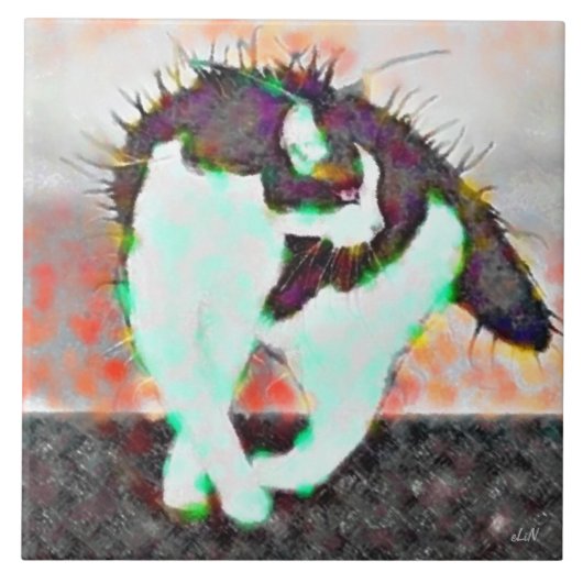 Kat op een hotline dakje tegeltje (Voorkant)