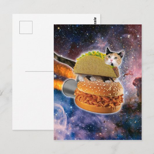 Kat op een rocketburger briefkaart (Voorkant / Achterkant)