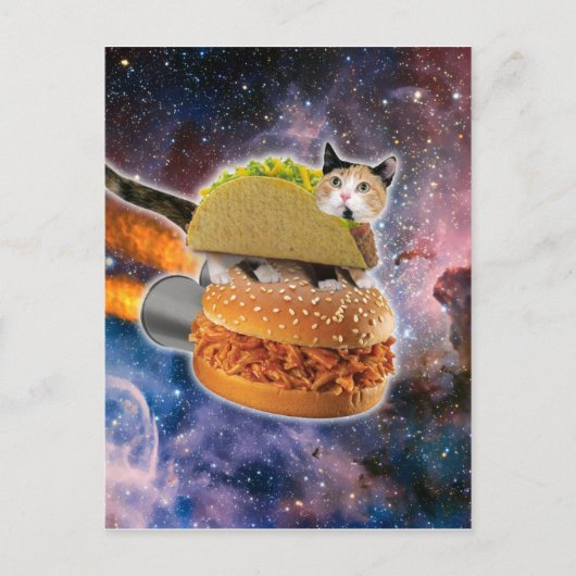 Kat op een rocketburger briefkaart (Voorkant)