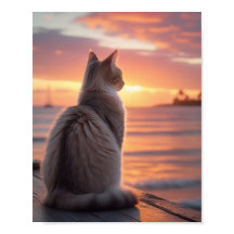 Kat op een Steiger met een Zonsondergang en Oceaan