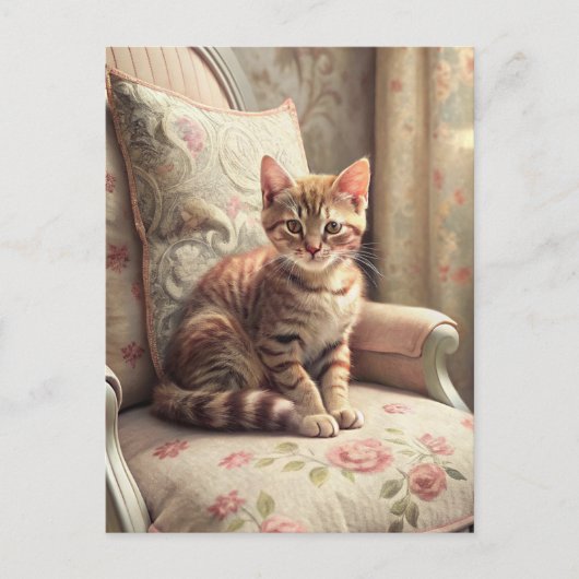 Kat op een stoel (Shabby Chic) Briefkaart (Voorkant)