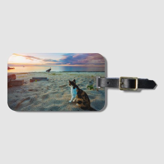 Kat op een strand bagagelabel (Voorkant (horizontaal))