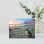 Kat op een strand briefkaart (Staand voorkant)