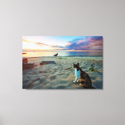 Kat op een strand canvas afdruk (Voorkant)