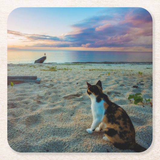 Kat op een strand kartonnen onderzetters (Voorkant)