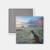 Kat op een strand magneet (Voorkant / Achterkant)