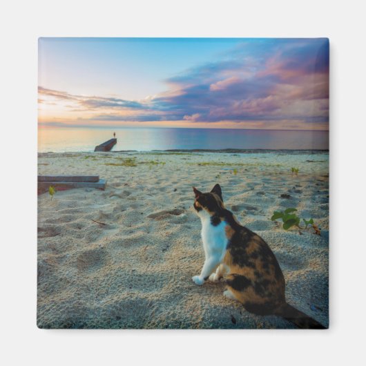 Kat op een strand magneet (Voorkant)