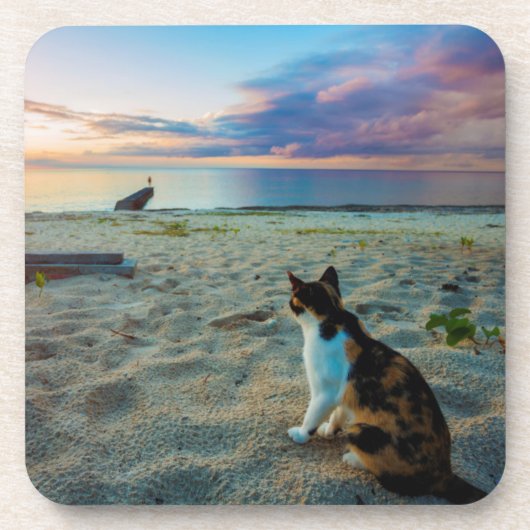 Kat op een strand onderzetter (Voorkant)