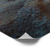 Kat op een strand poster (Hoek)