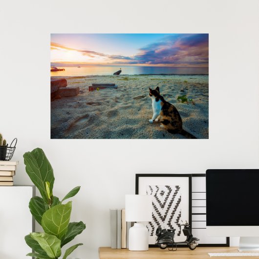 Kat op een strand poster (Thuiskantoor)