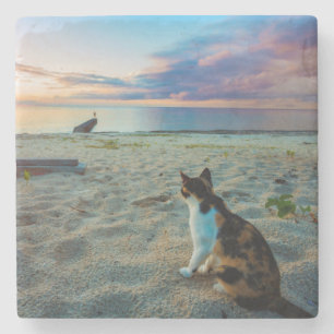 Kat op een strand stenen onderzetter