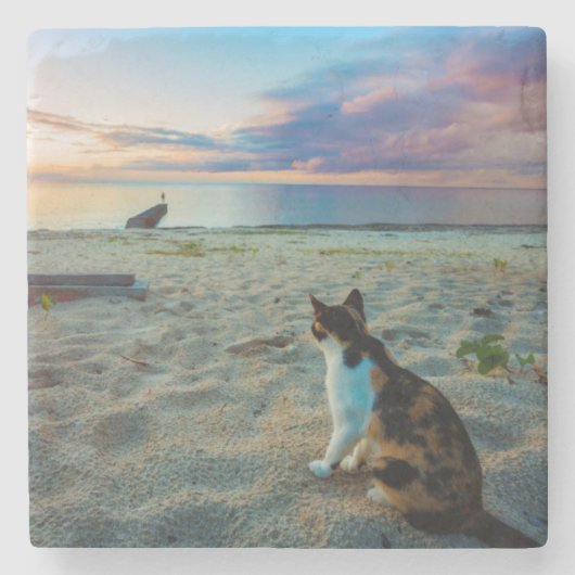 Kat op een strand stenen onderzetter (Voorkant)