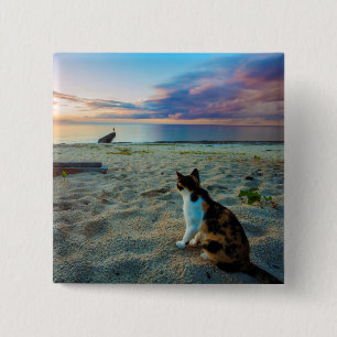 Kat op een strand vierkante button 5,1 cm
