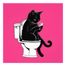 Kat op een toilet zitten