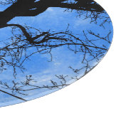 Kat op een Wire Blue Moon Glass Snijplank (Hoek)