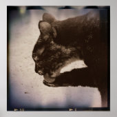 Kat op film, digitale kunst poster (Voorkant)