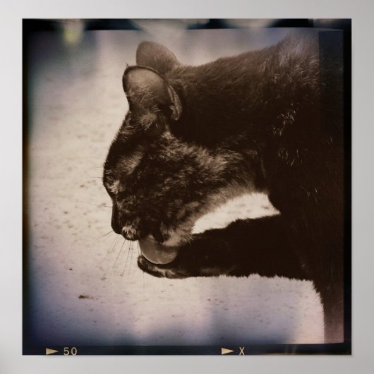 Kat op film, digitale kunst poster (Voorkant)