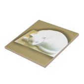 Kat op gouddoos II Tegeltje (Zijkant)