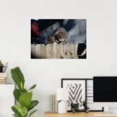 Kat op hek (11) Poster (Thuiskantoor)