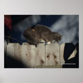 Kat op hek (14) Poster