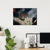 Kat op hek (15) Poster (Thuiskantoor)