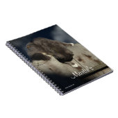 Kat op hek (18) notitieboek (Rechterzijde)