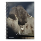 Kat op hek (18) notitieboek (Voorkant)