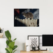 Kat op hek (19) Poster (Thuiskantoor)