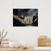 Kat op hek (1) Poster (Keuken)