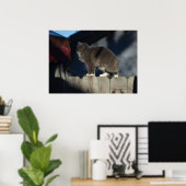 Kat op hek (20) Poster (Thuiskantoor)