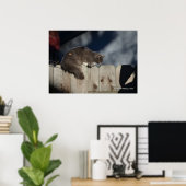 Kat op hek (2) Poster (Thuiskantoor)