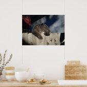 Kat op hek (3) Poster (Keuken)